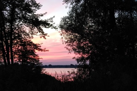 img_20210712_2103542