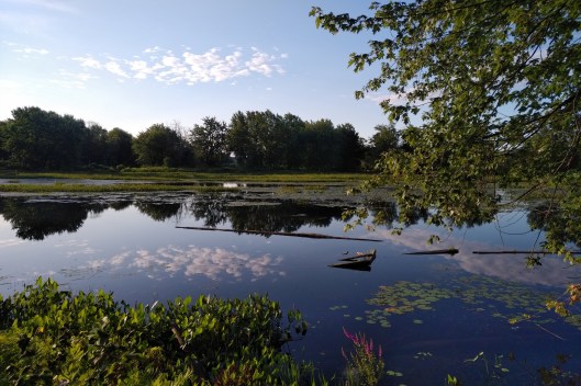 img_20210731_0713179