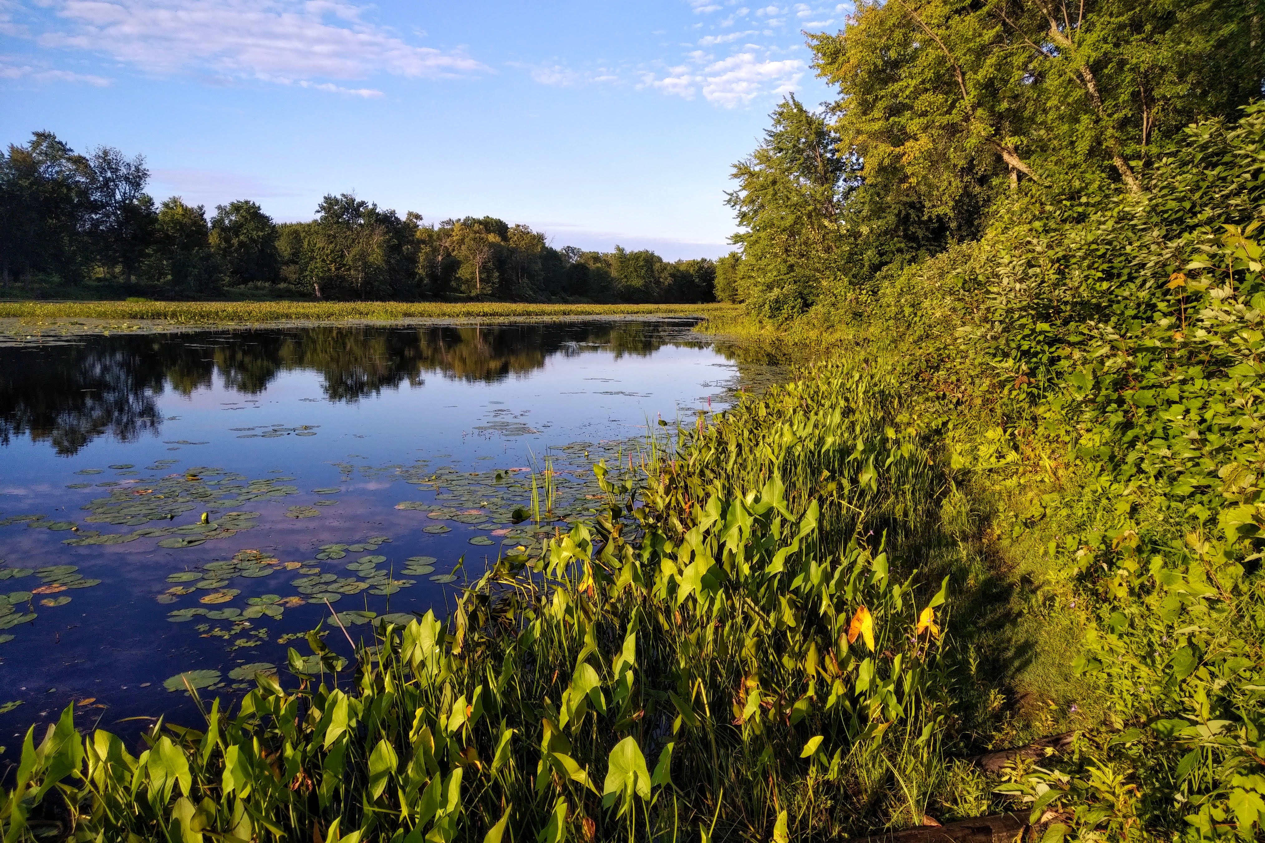 img_20210731_0716231