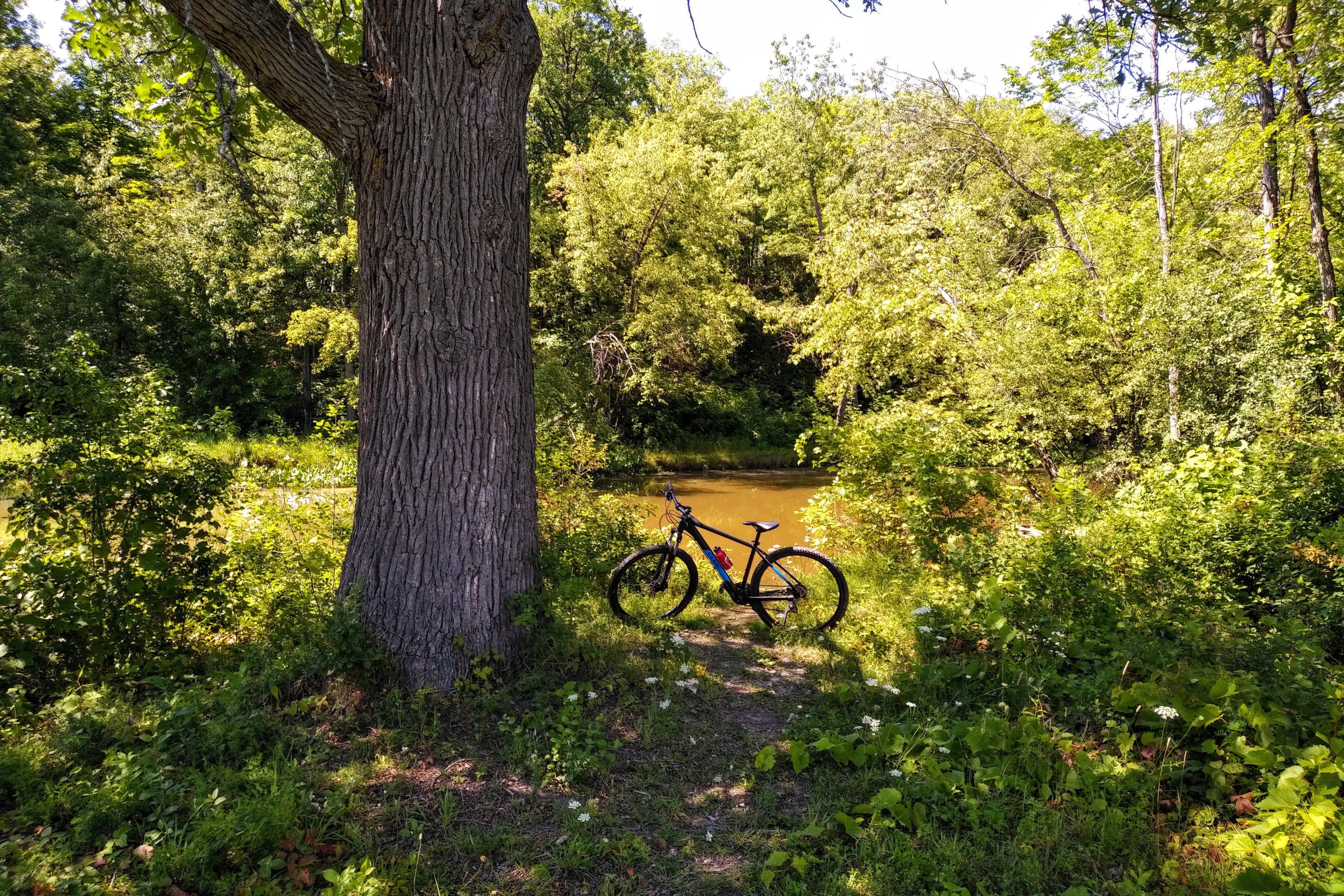 img_20210802_1434417