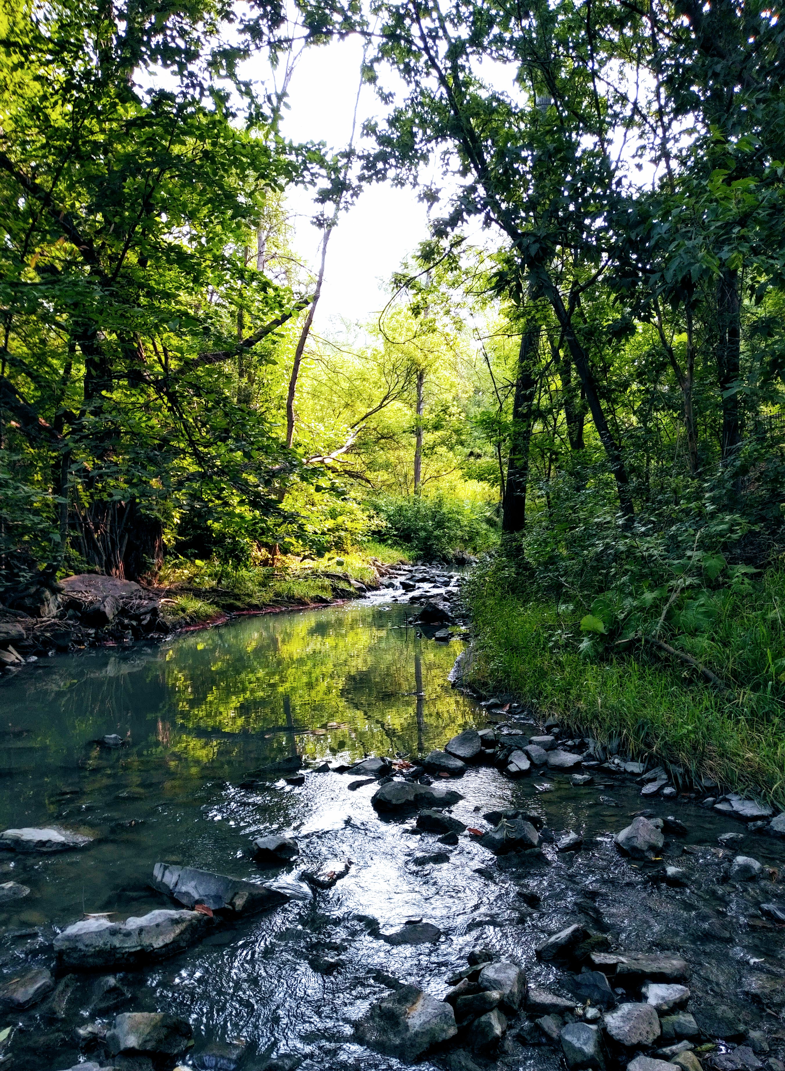 img_20210804_0858222