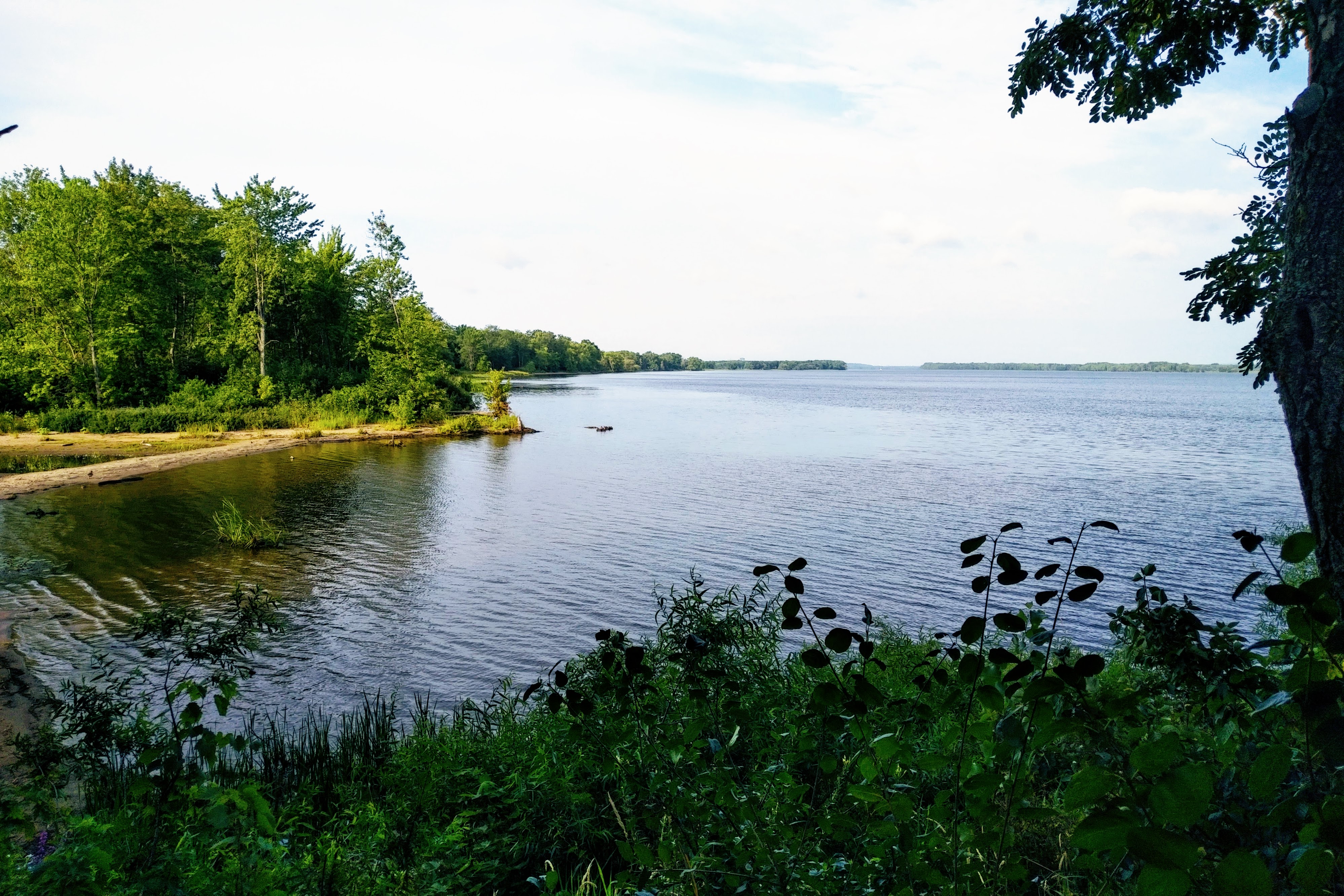 img_20210812_0801506