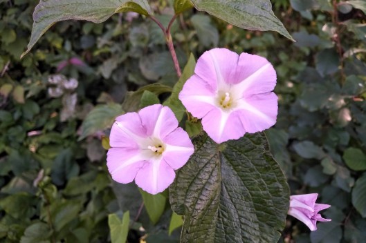 img_20210816_1145495