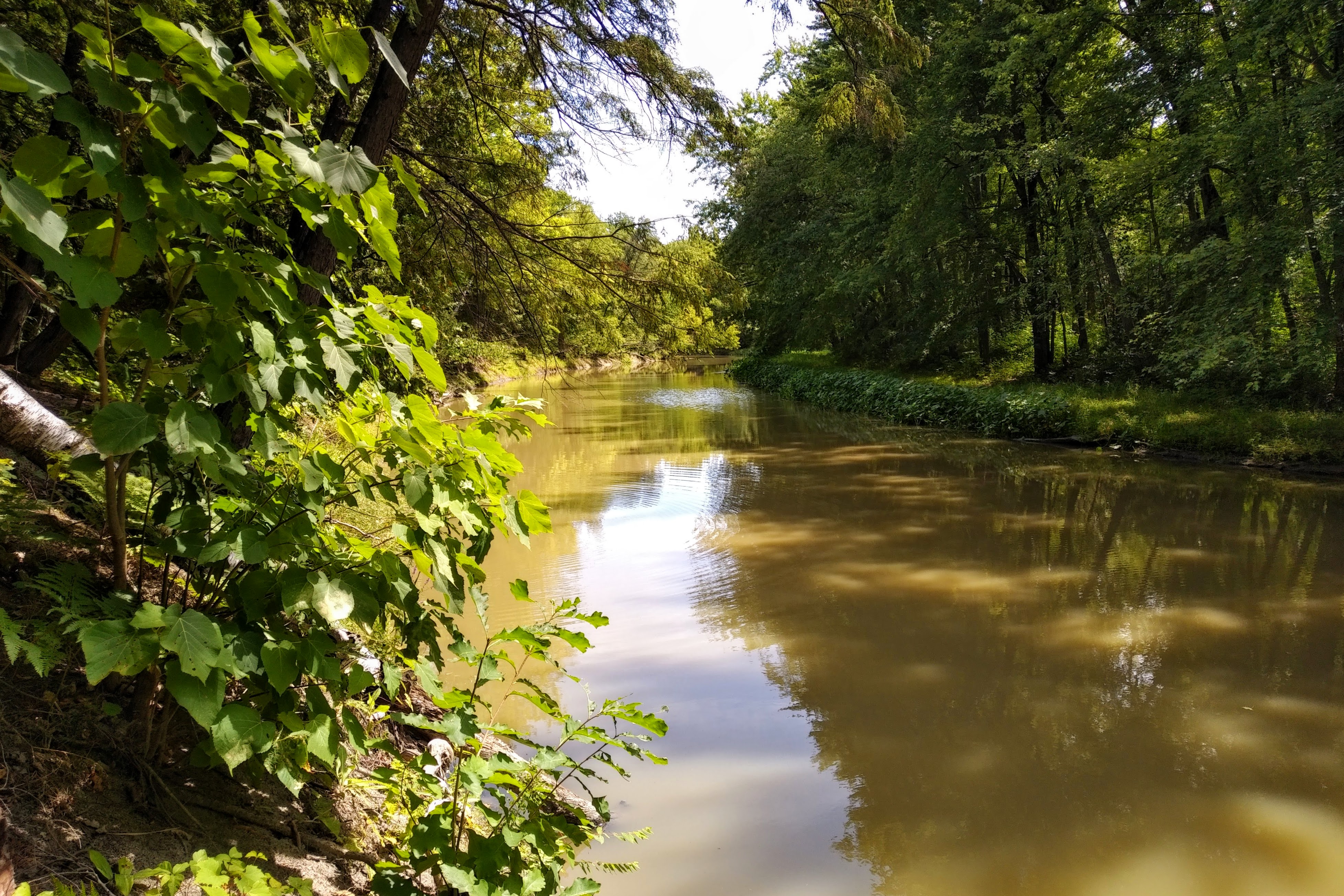 img_20210816_1213441