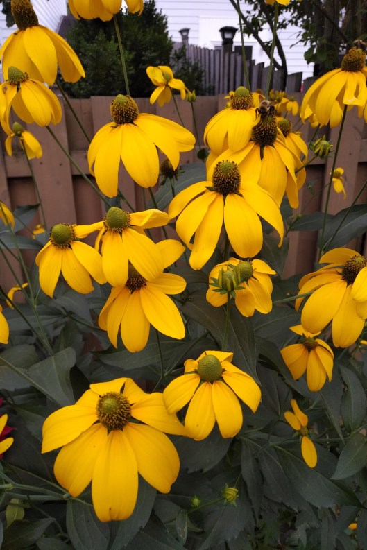 img_20210817_1435597