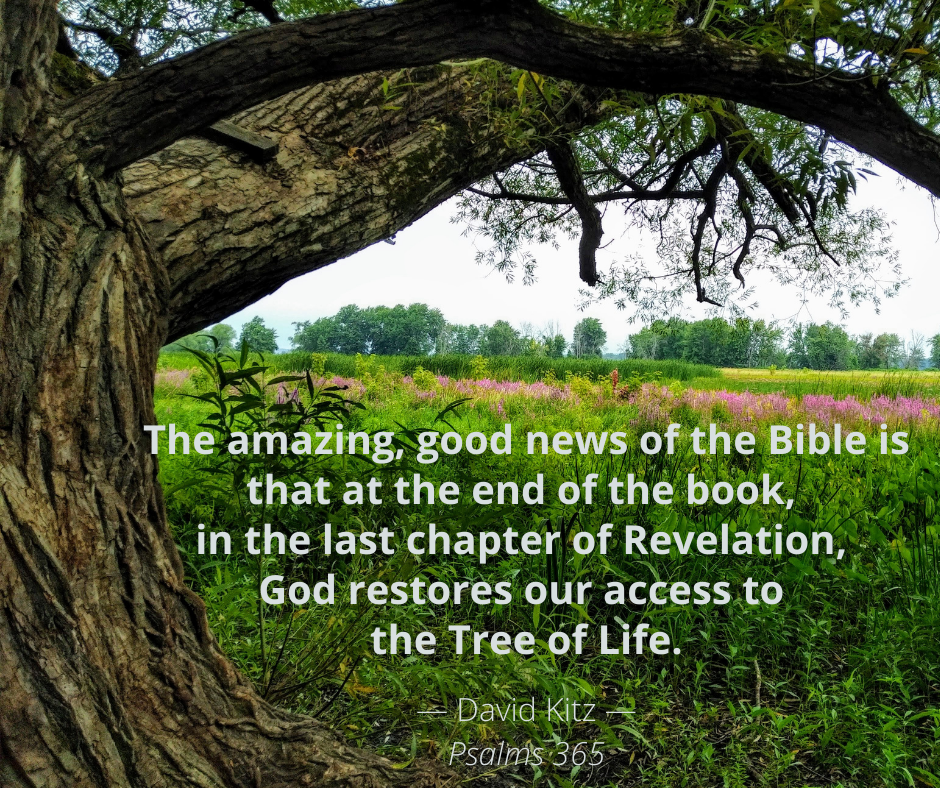 Psalm 1 Tree of Life