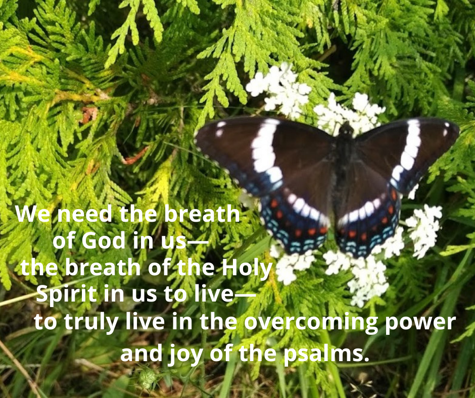 Psalm 150 the breath of God in us—