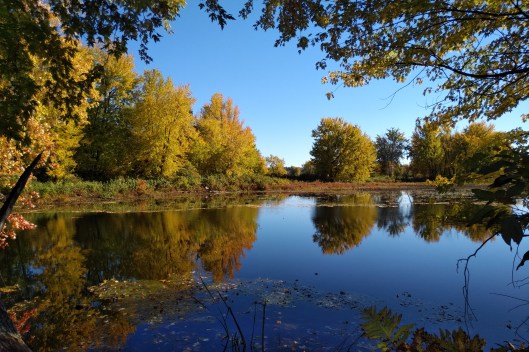 IMG_20201011_1459232 (1)