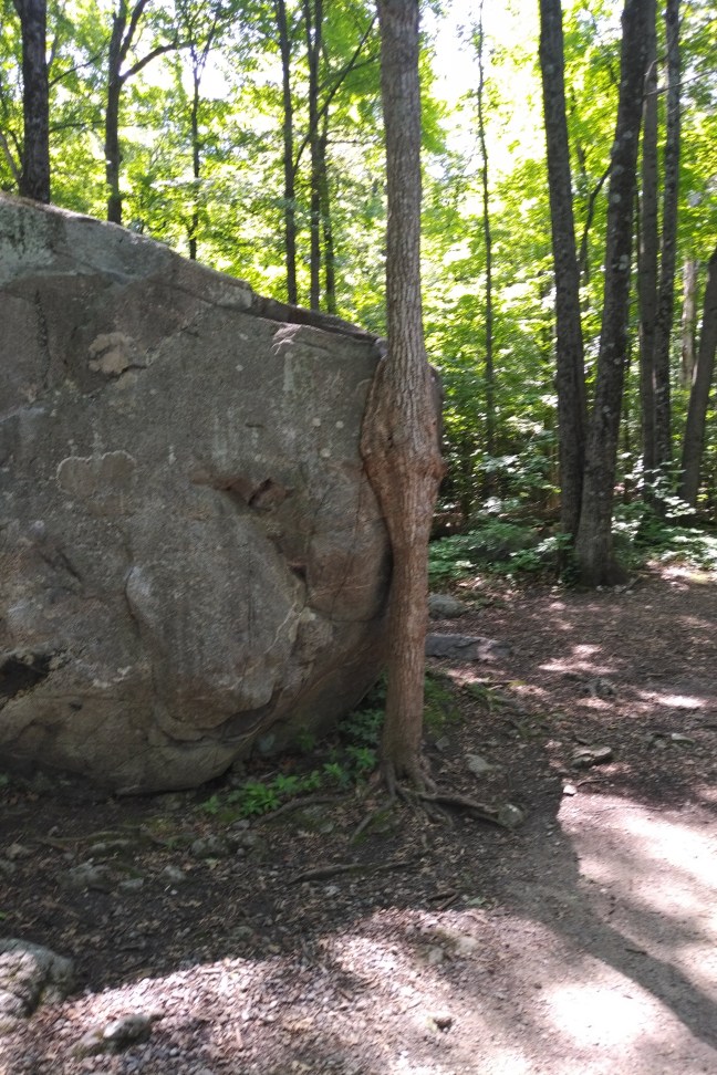 img_20210716_1148288-1