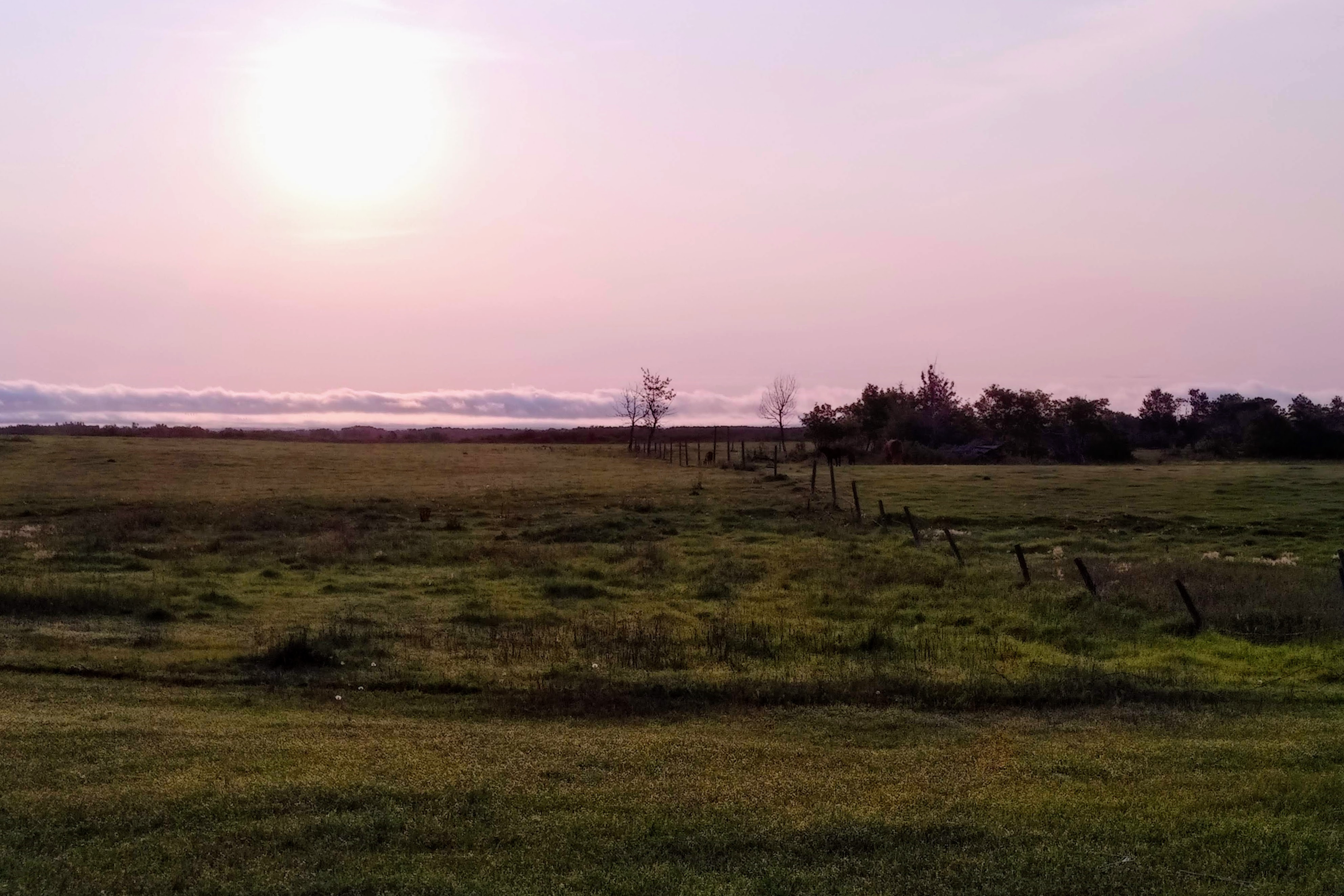 IMG_20210827_0644151