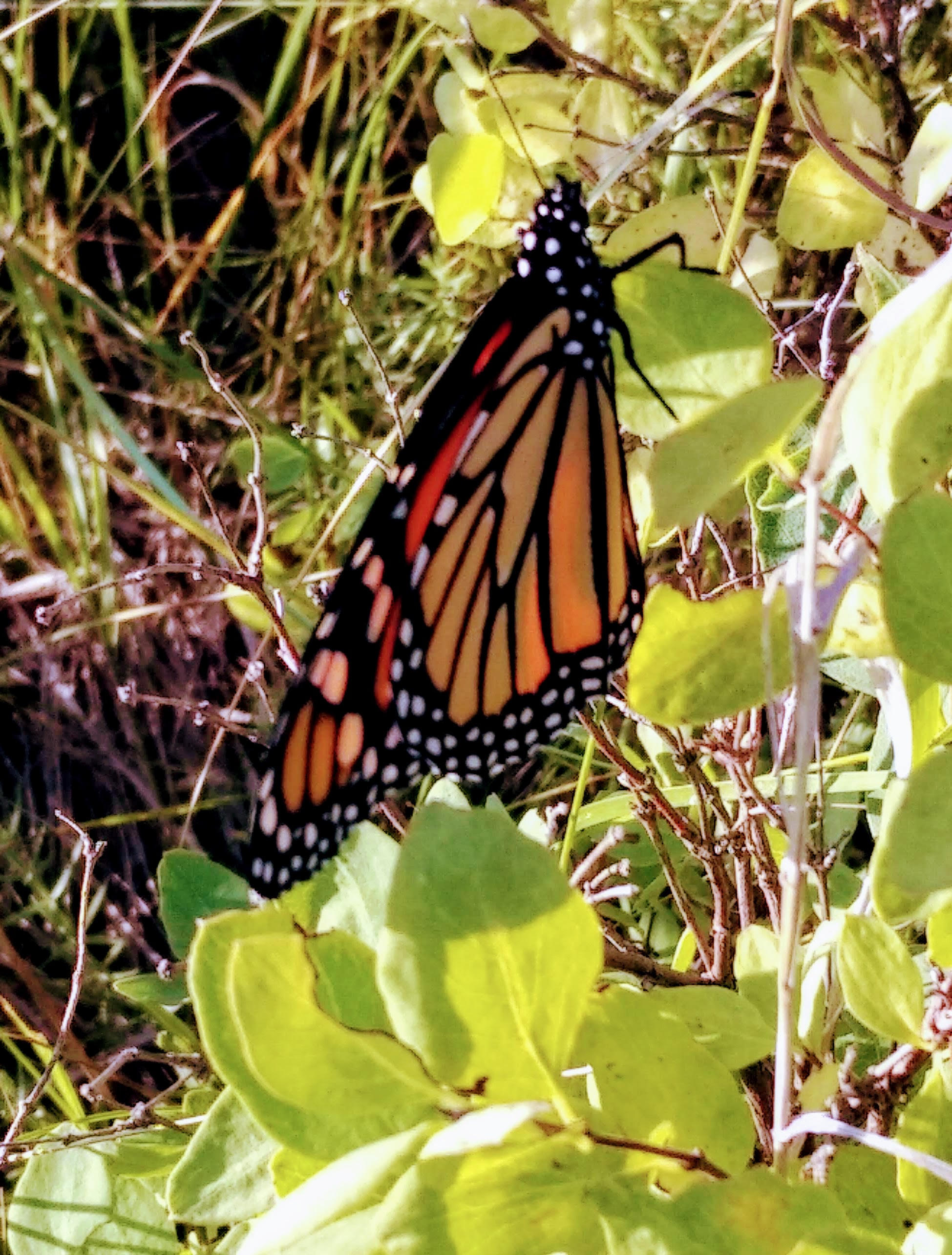 img_20210831_0751597