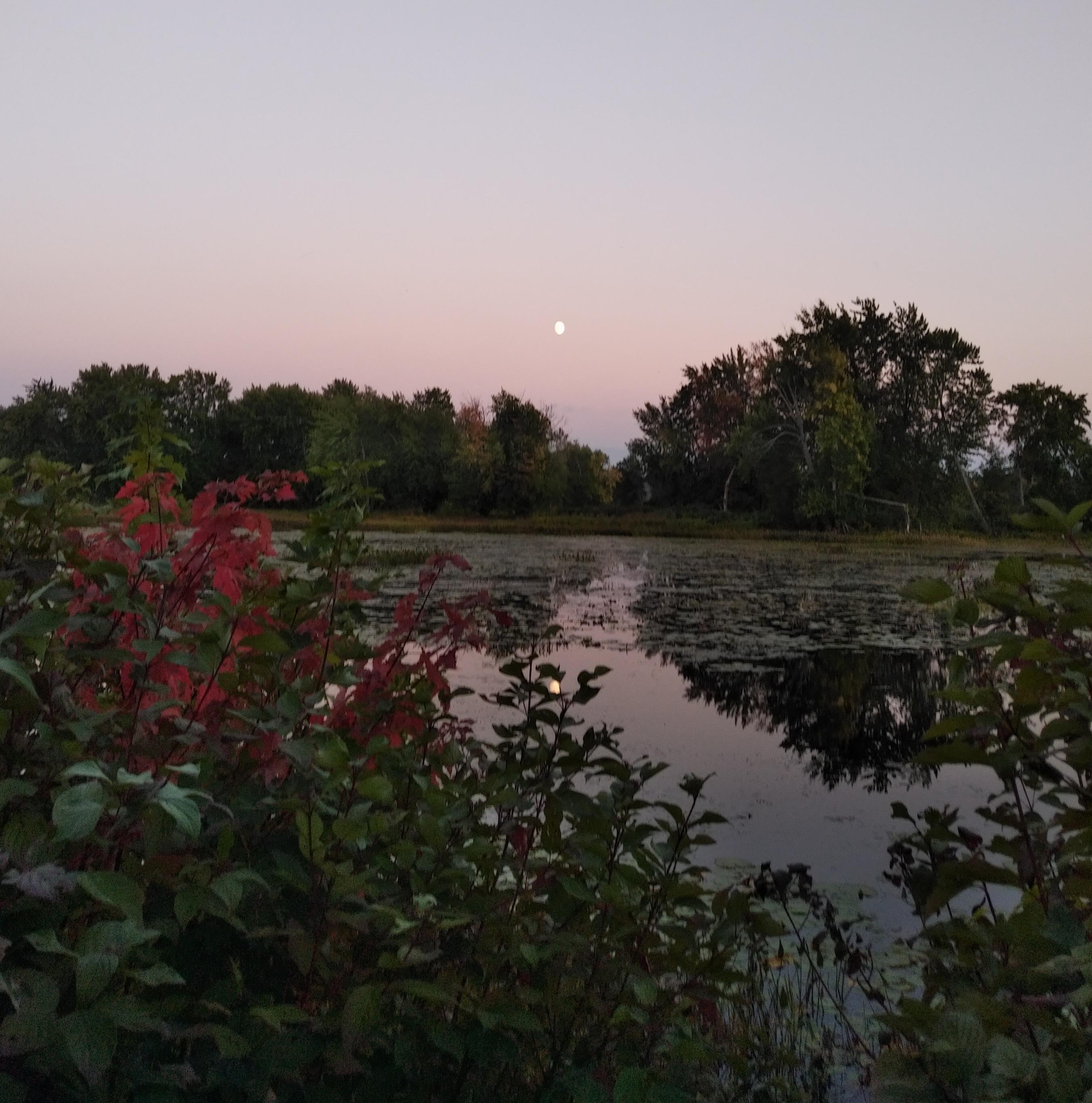 img_20210917_1912433