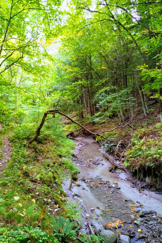 img_20210918_1517049