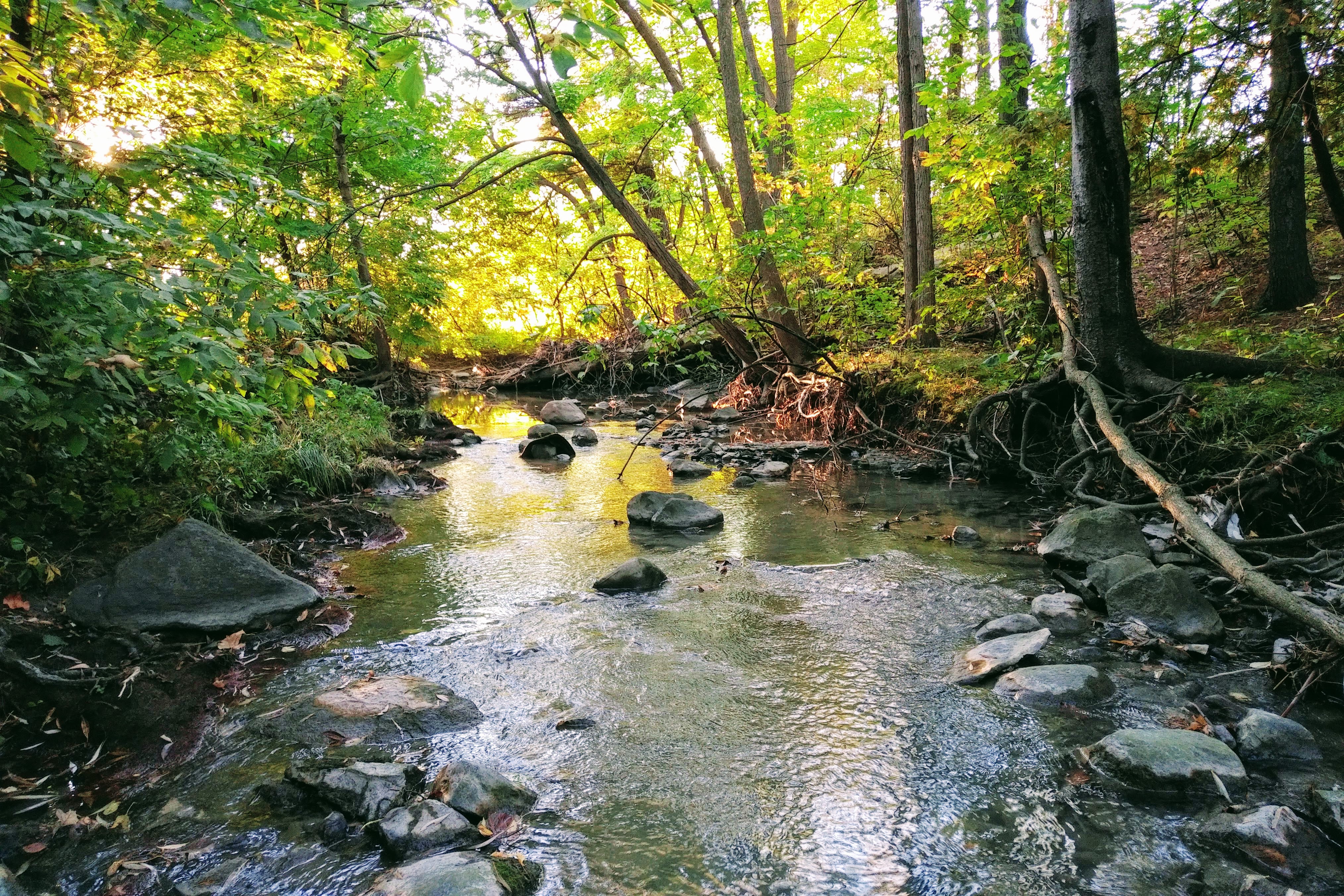 img_20210920_0748161