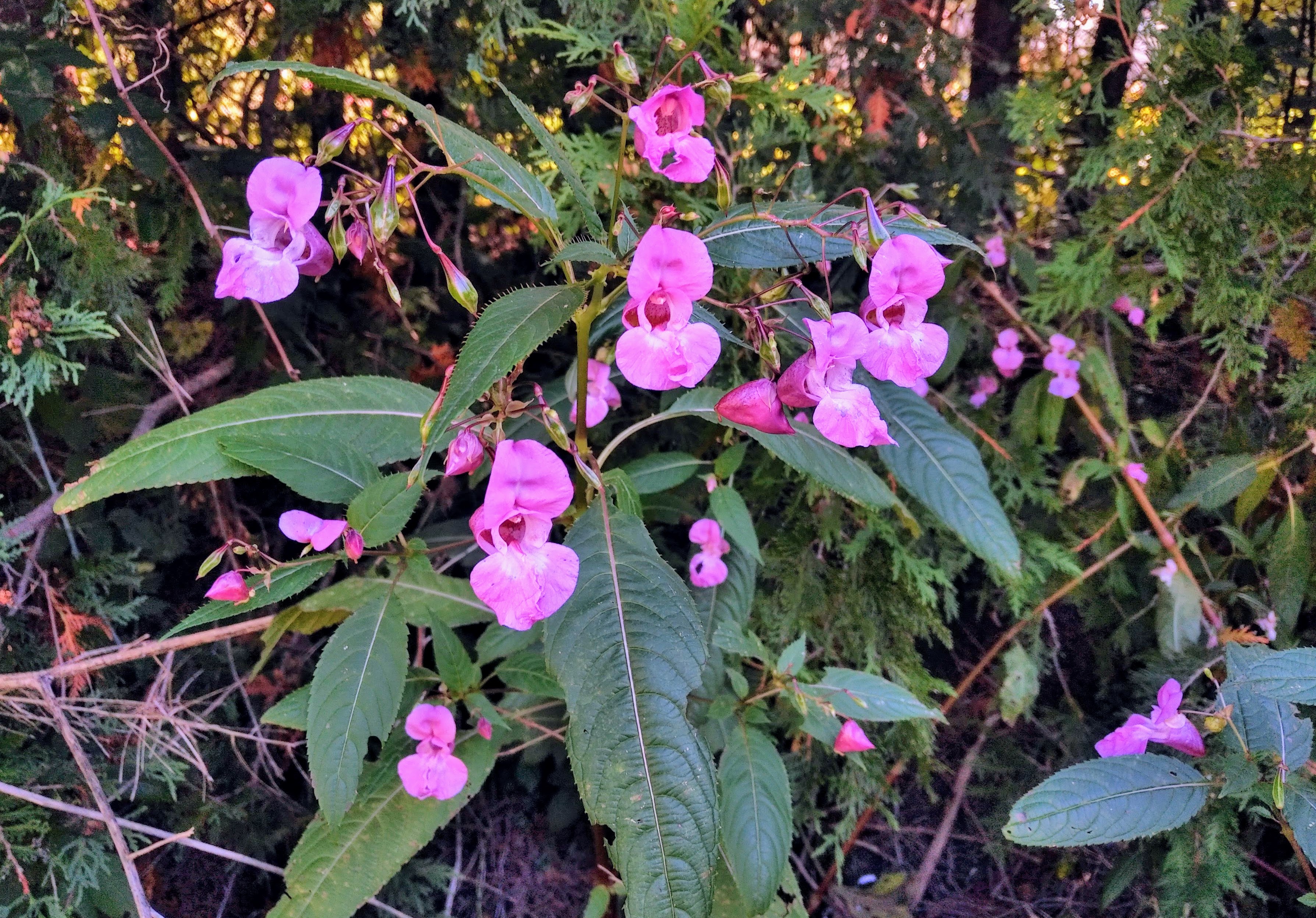 img_20210926_1022355