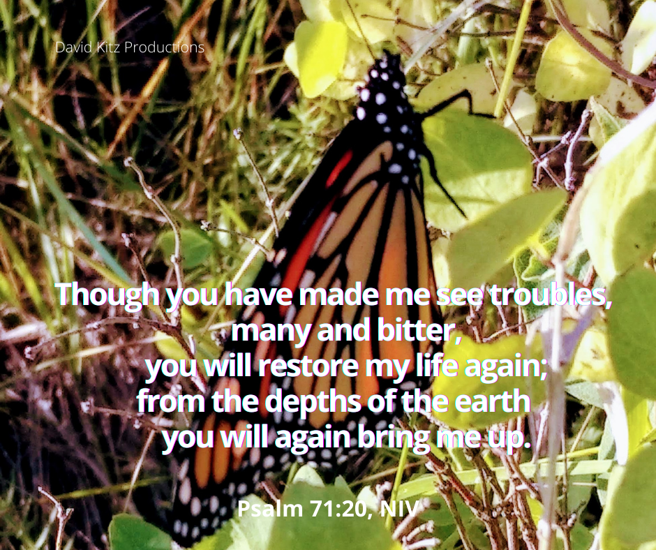 Psalm 71_20a