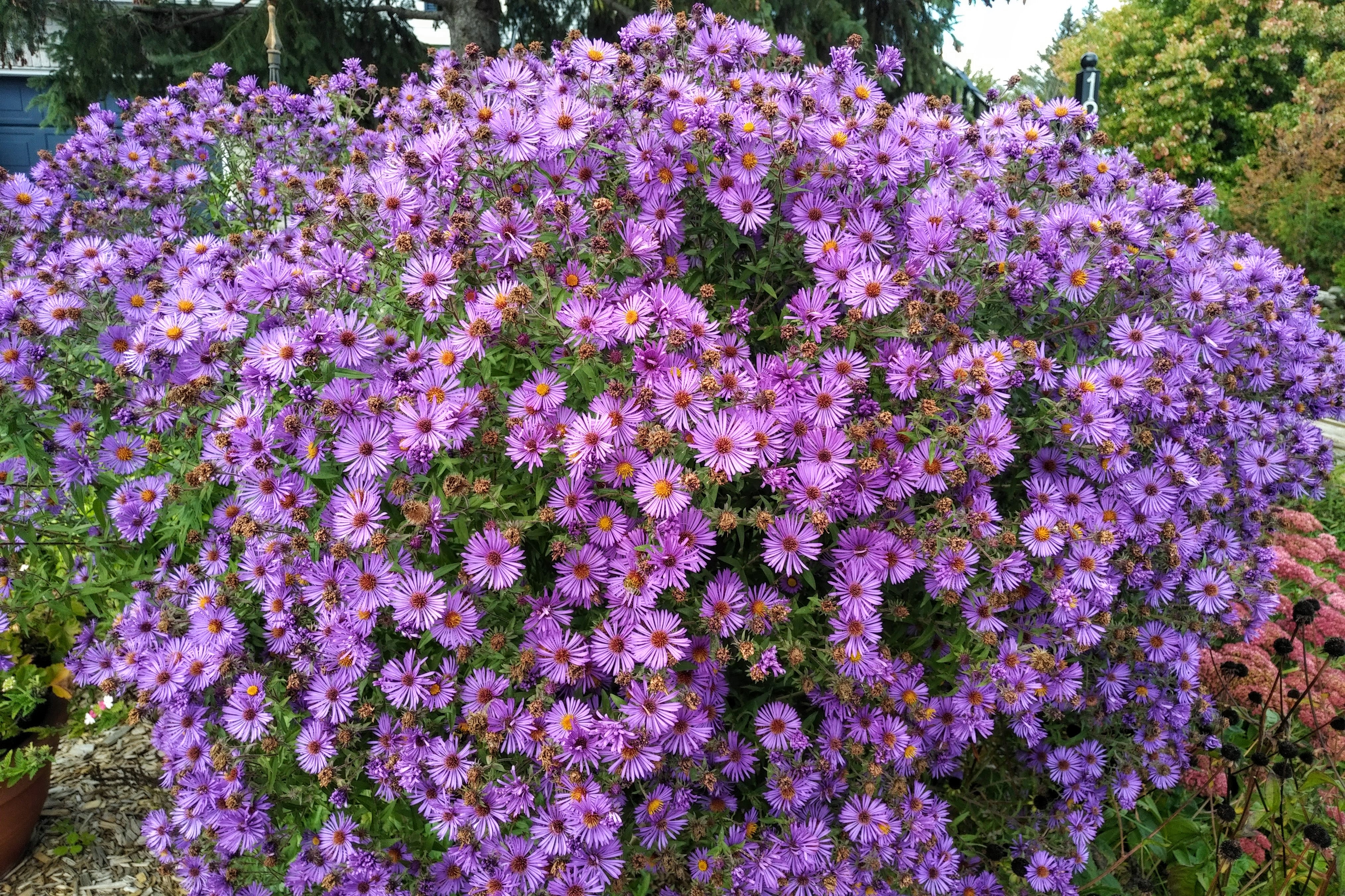 img_20211001_1346577