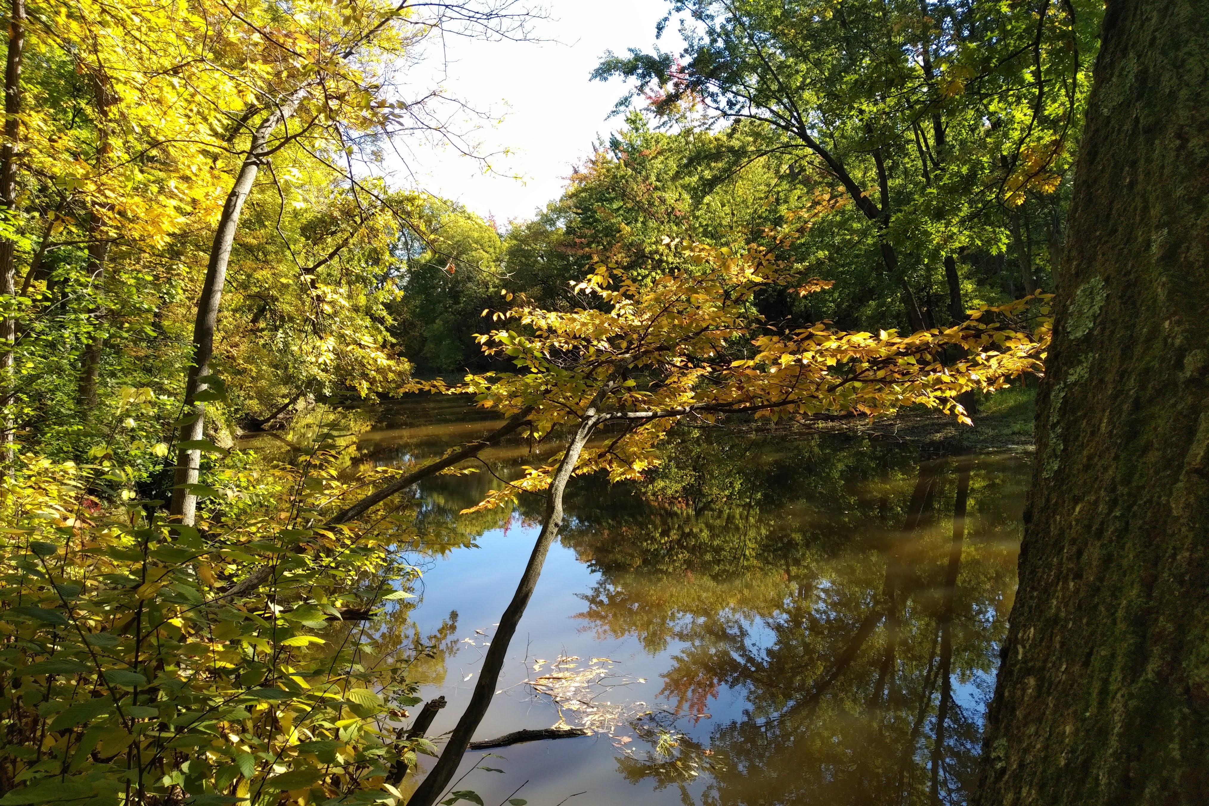 img_20211005_1103546