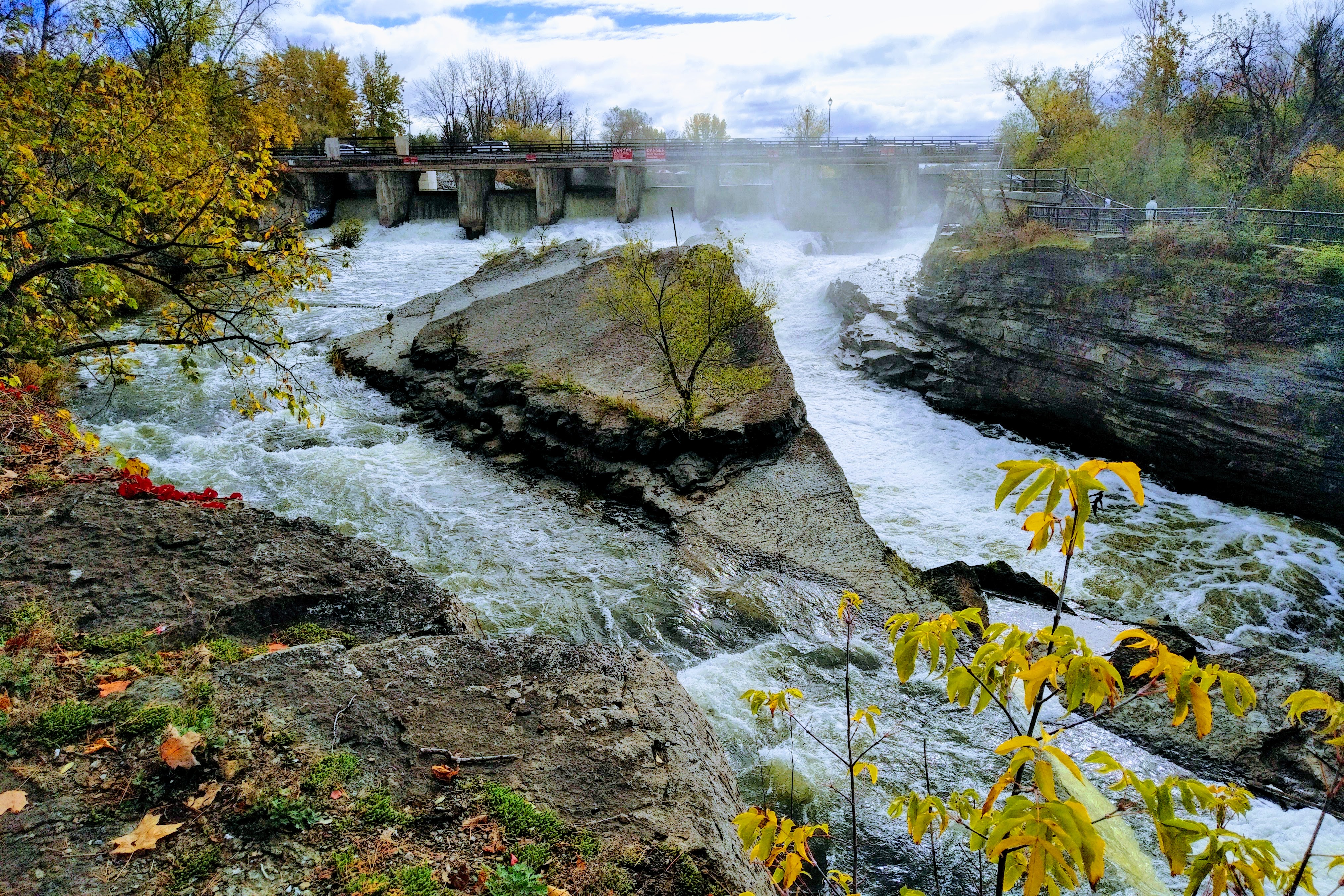 img_20211018_1208053