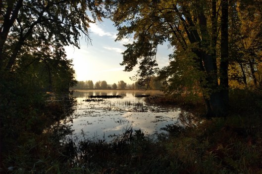 img_20211020_0808487