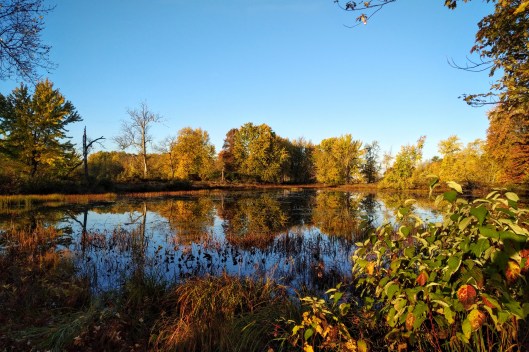 img_20211020_0813244