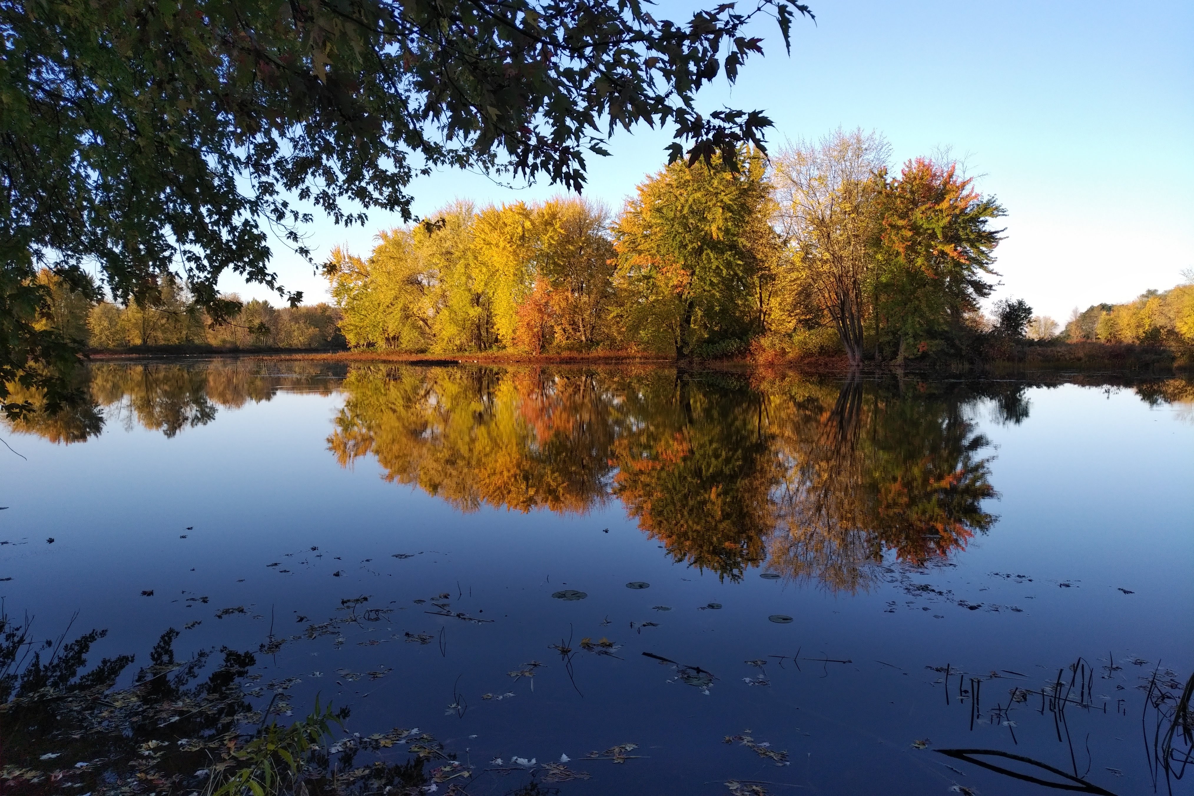 img_20211020_0823244