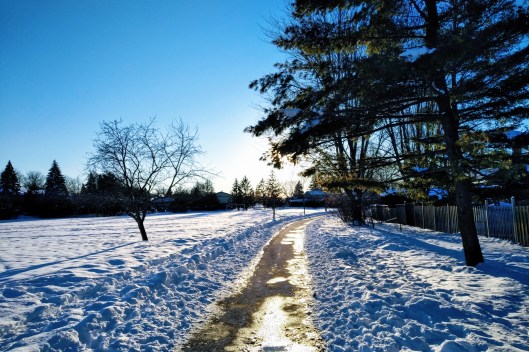 img_20210124_1602110