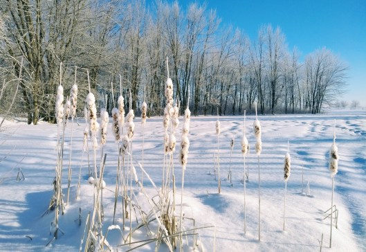 img_20210220_0754062