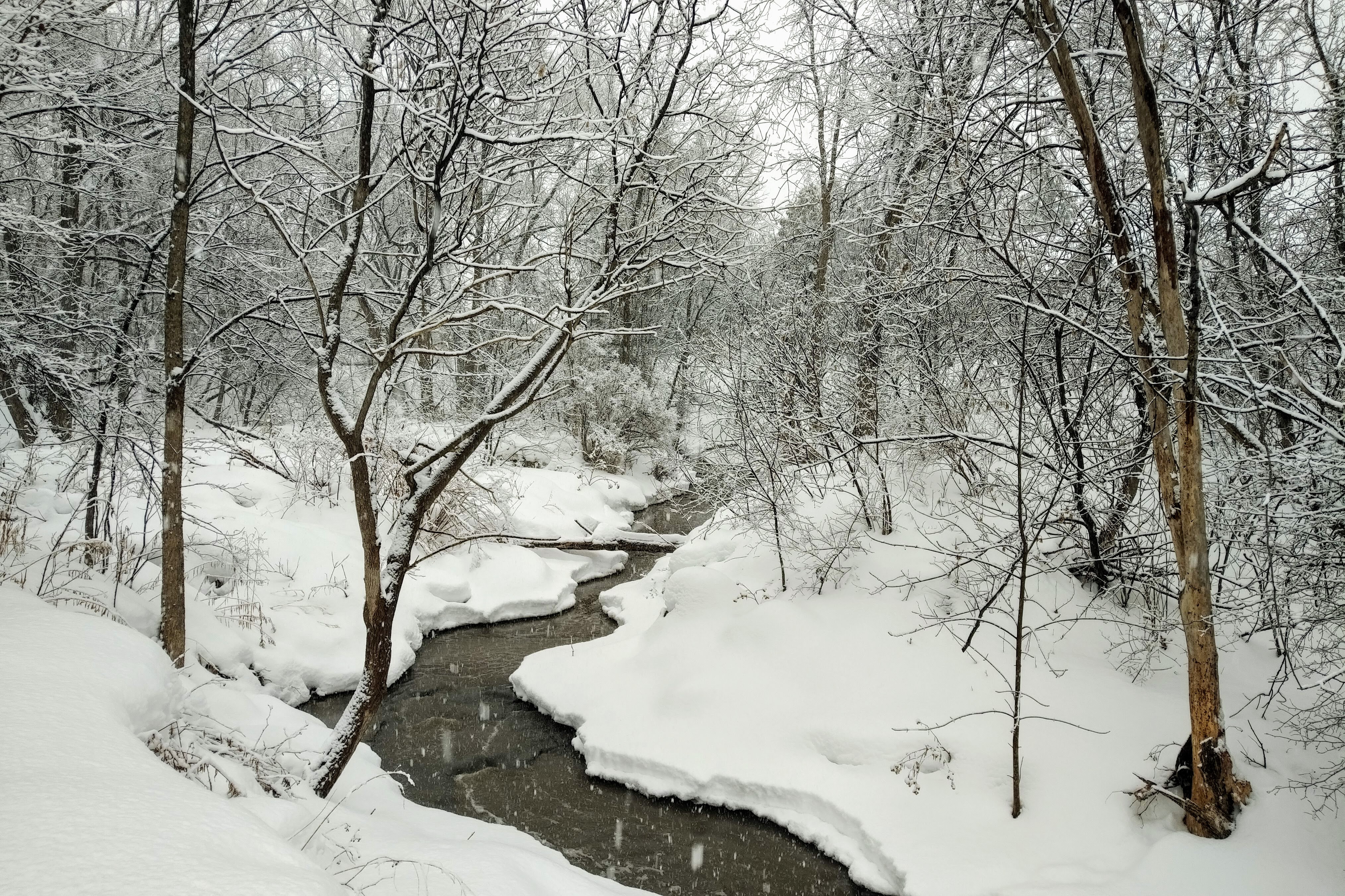 img_20210224_1623305