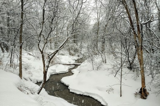 img_20210224_1623305