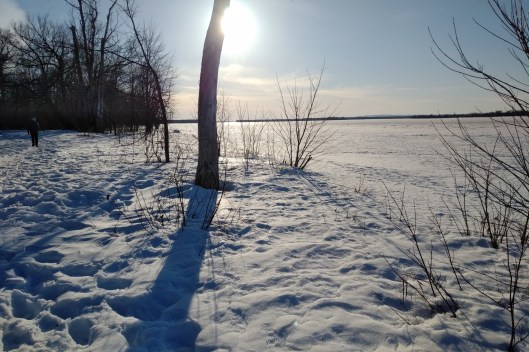 img_20210309_1637225