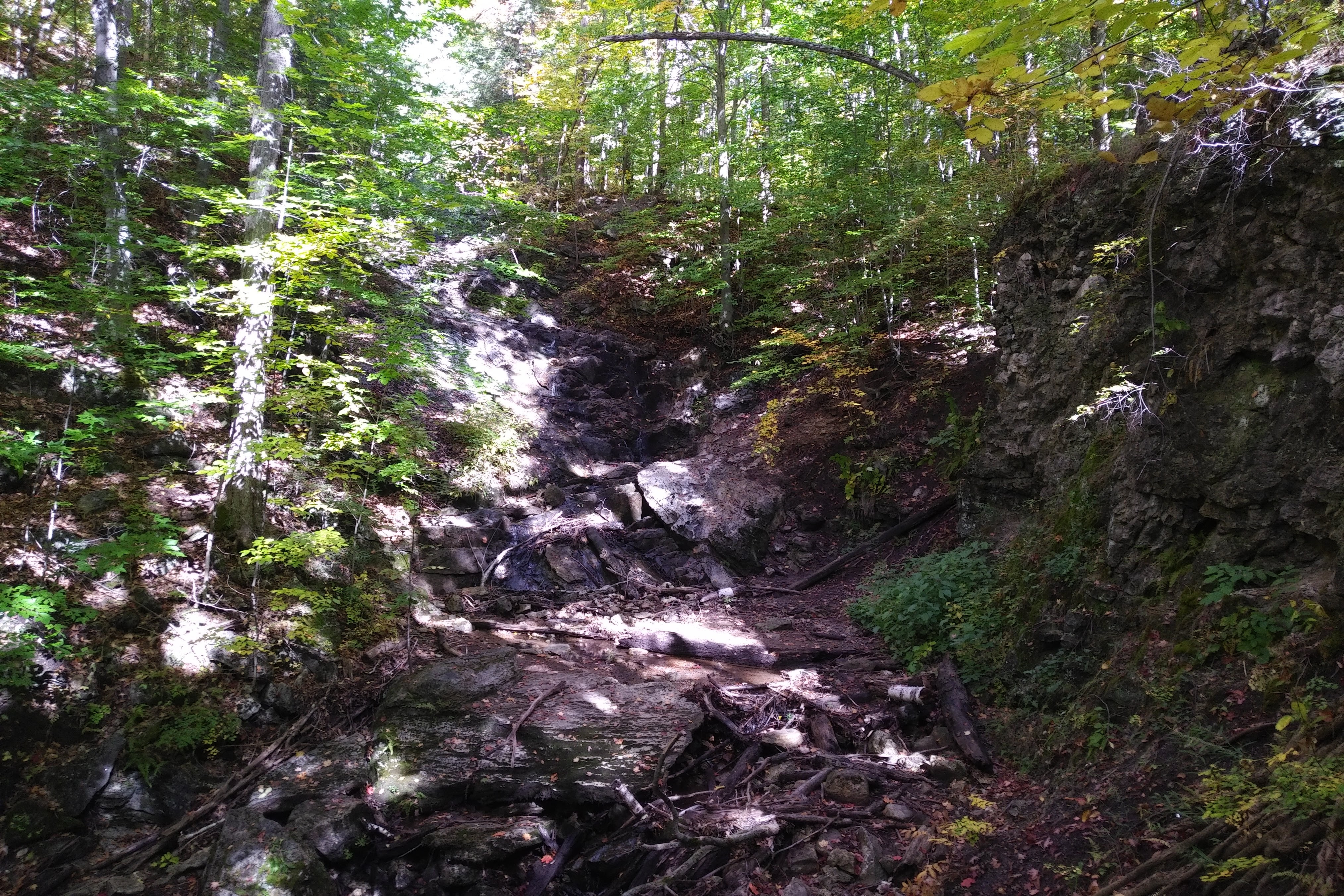 img_20211007_1136387