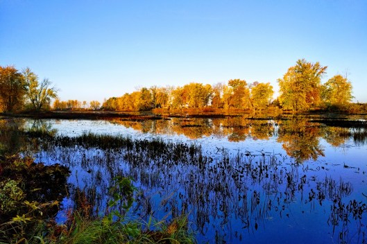 img_20211020_0808075-effects