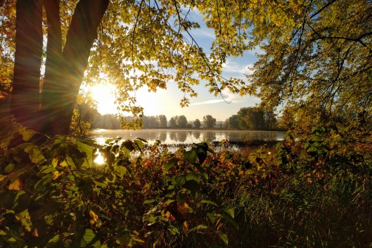 img_20211020_0811010