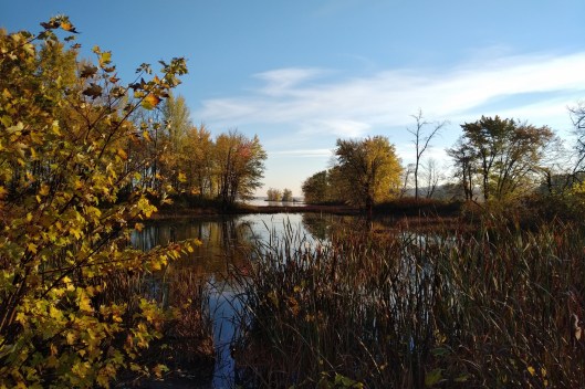 img_20211020_0832446