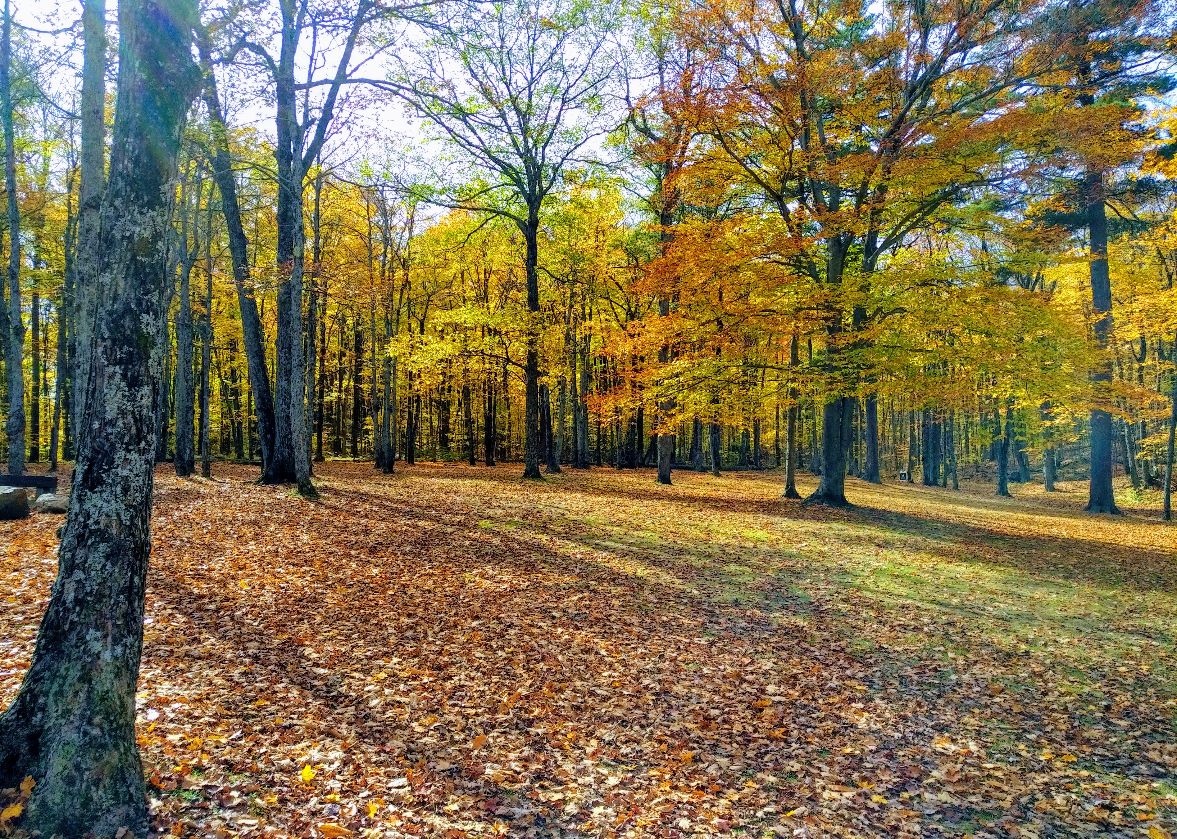 img_20211020_1307062