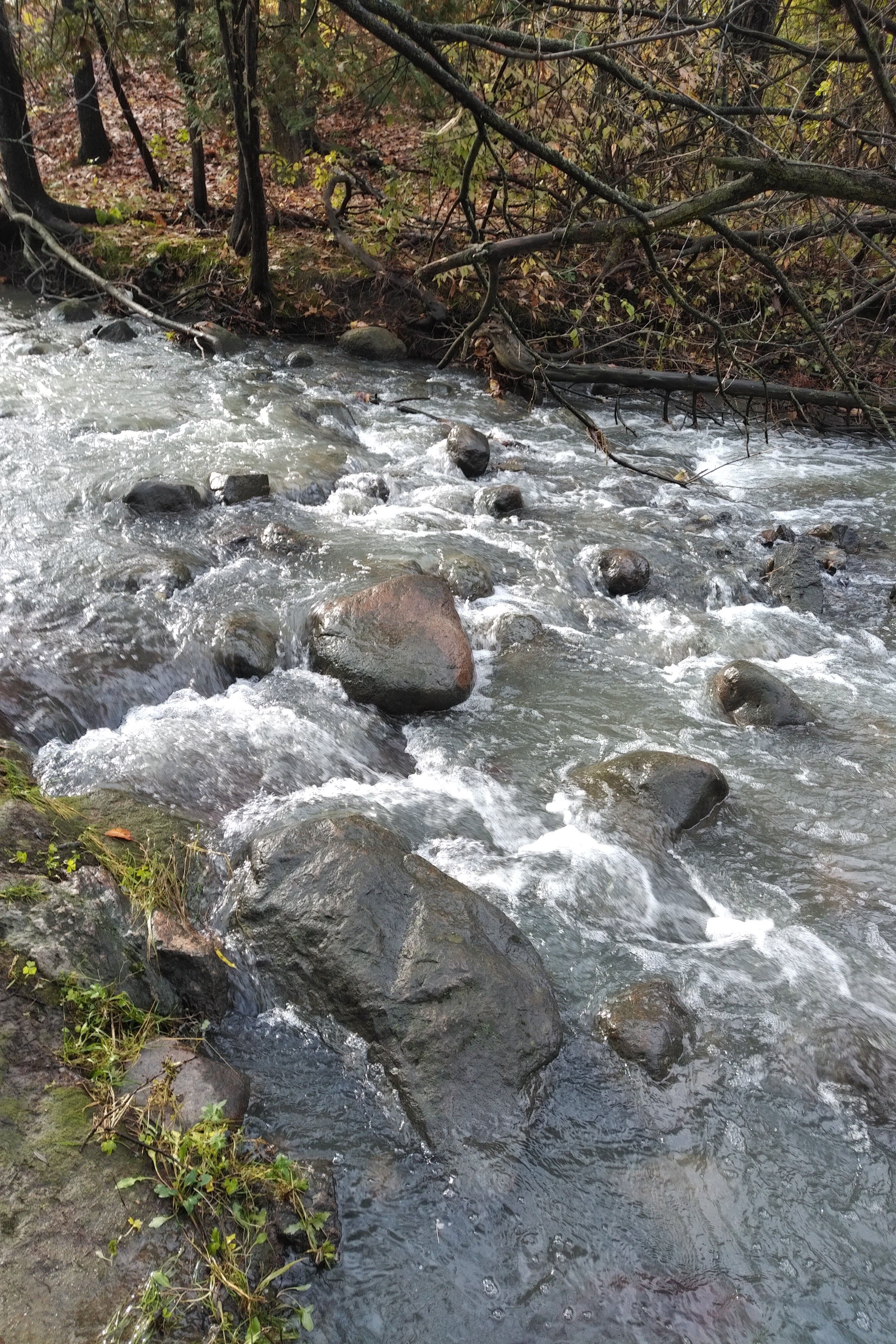 img_20211027_0958107