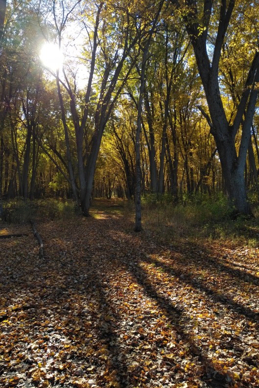 img_20211029_1048563