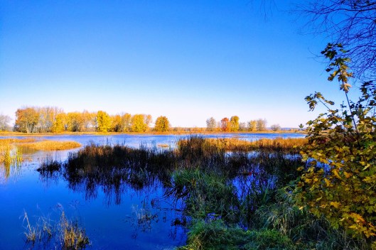 img_20211029_1121093-effects