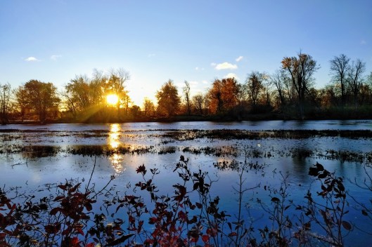 img_20211101_0708140