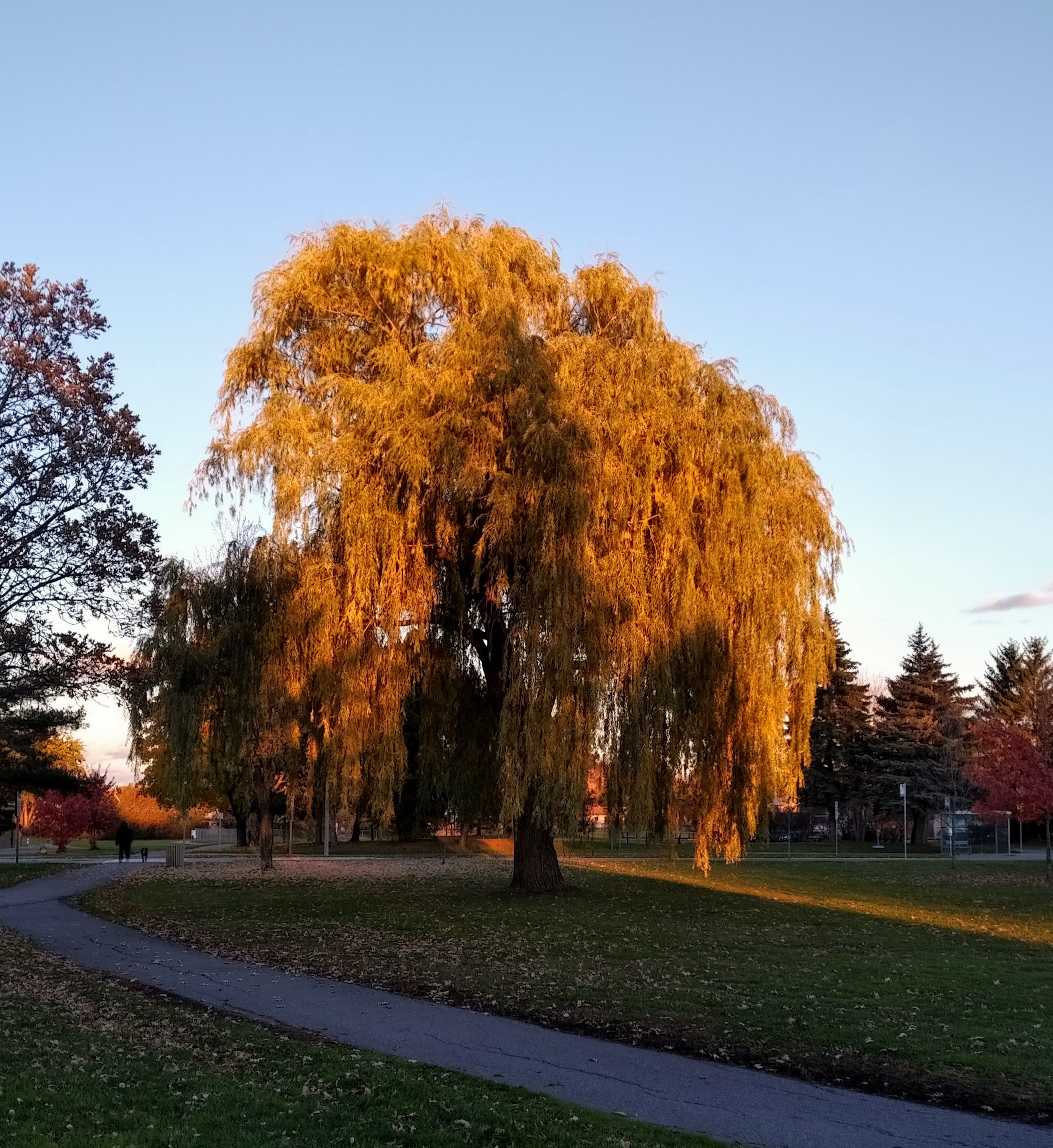 img_20211104_1726537