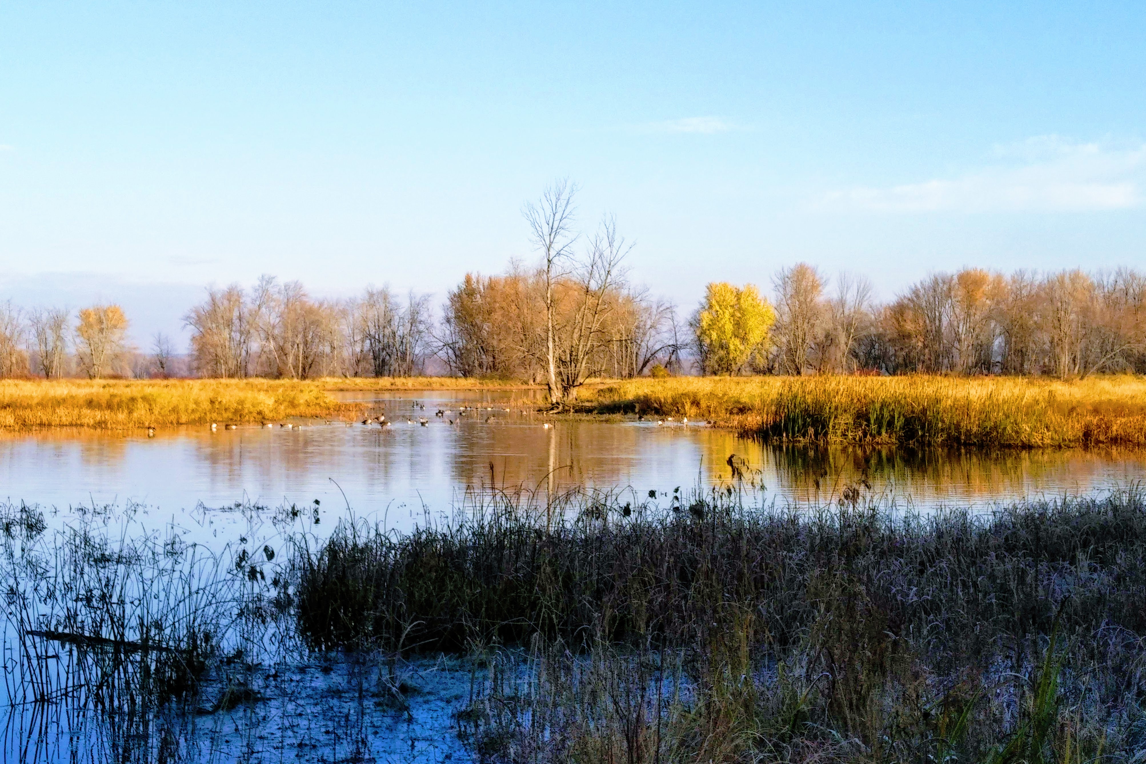 img_20211107_0807151