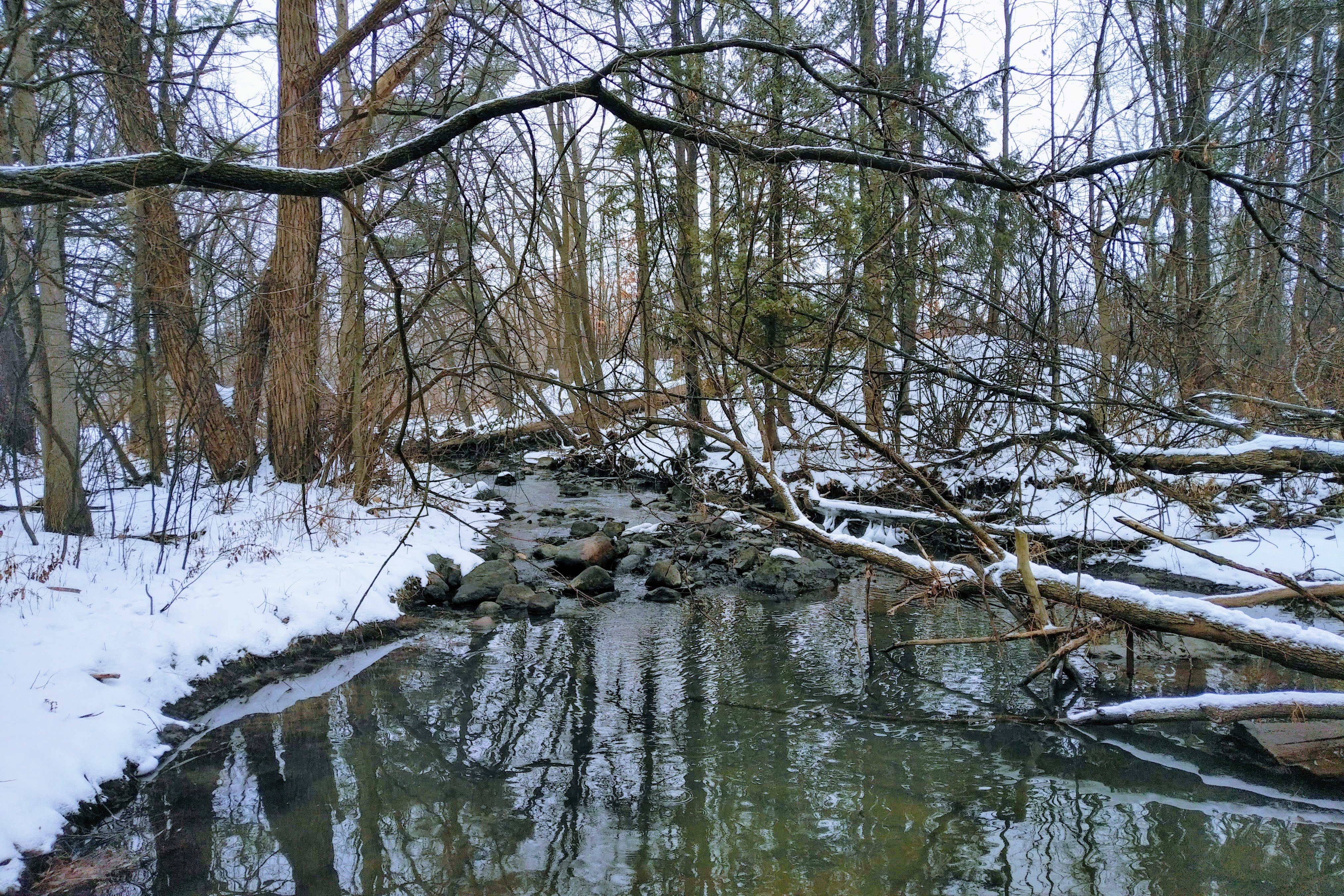 img_20220101_1020000