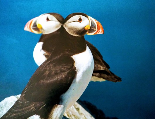 img_20220103_1152277