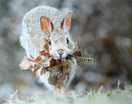 img_20220103_1426543