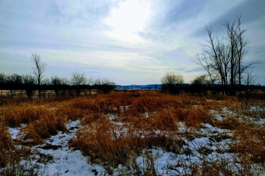 img_20220105_1039137