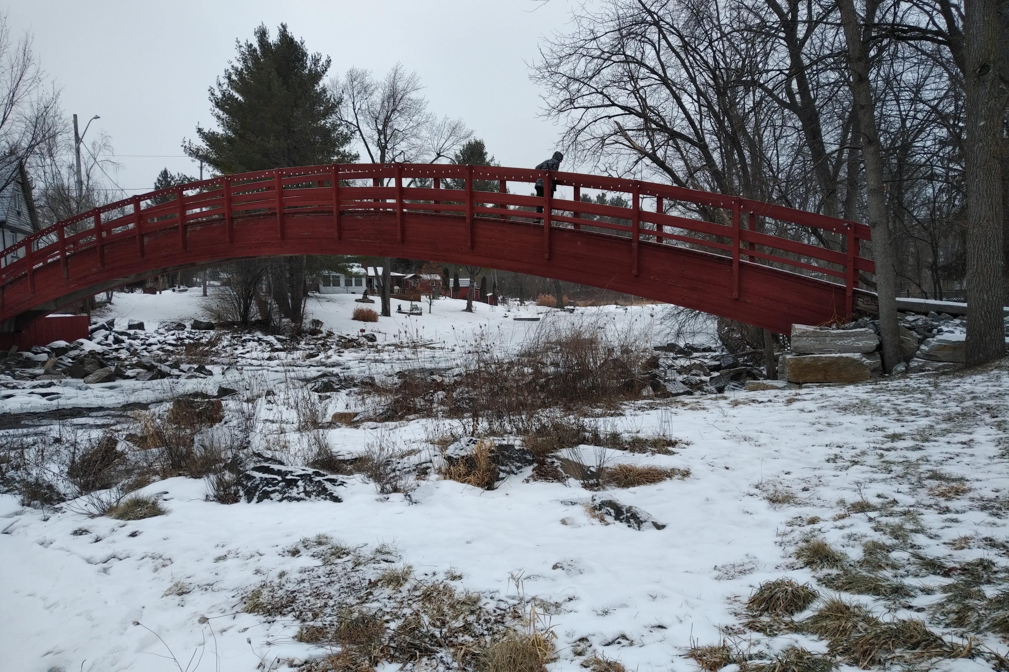 img_20220113_1002312