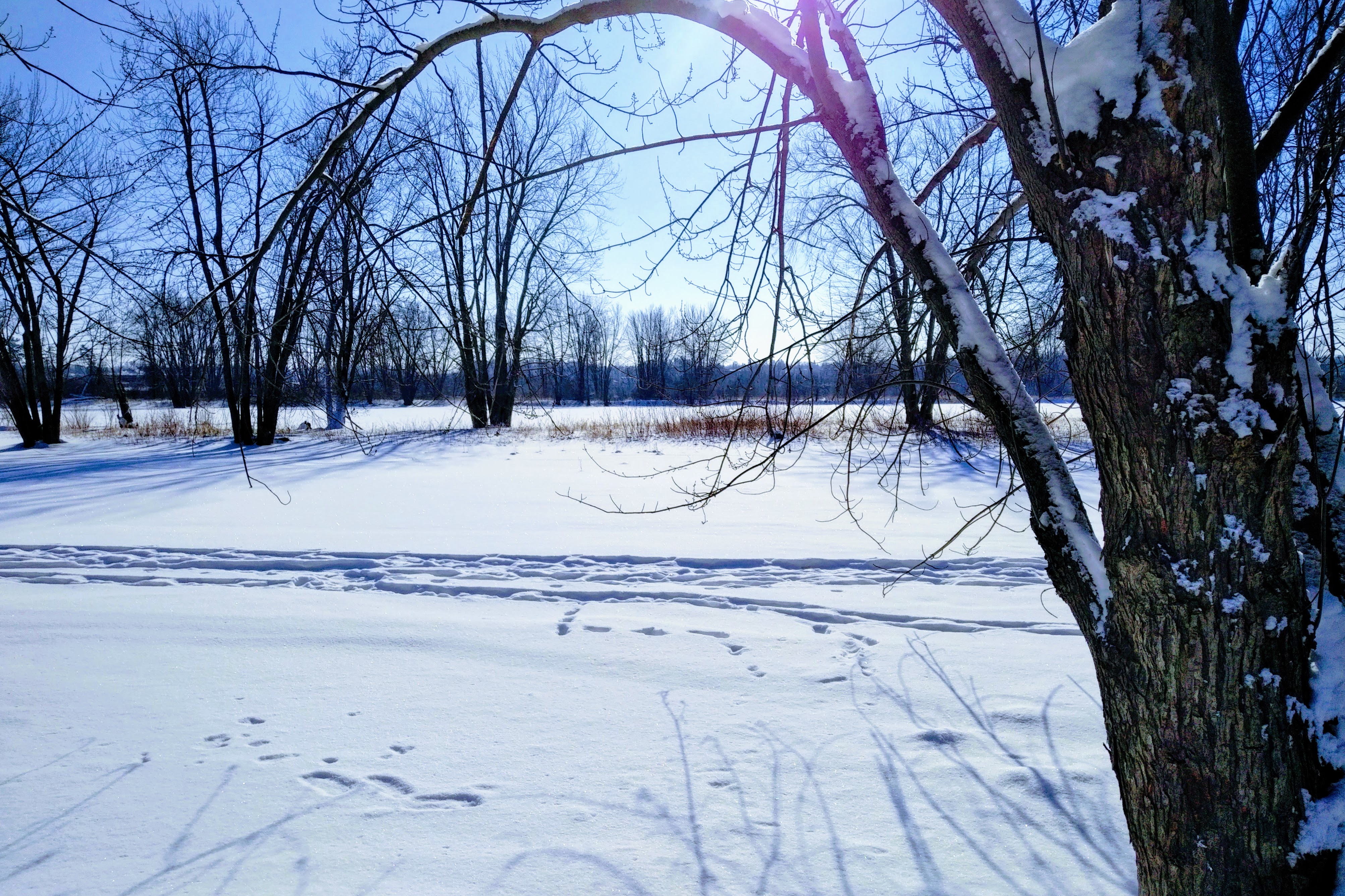 img_20220125_1135278