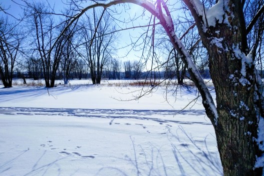 img_20220125_1135278