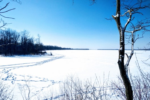 img_20220125_1159401